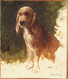 Study of a Dog by Rosa Bonheur