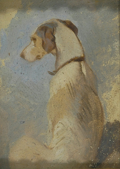 Study of a Greyhound by Edwin Henry Landseer