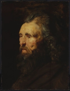 Study of a Man's Head by Peter Paul Rubens