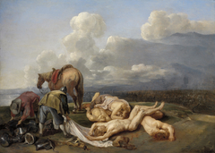 The Aftermath of the Battle by Jan van den Hecke