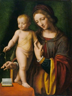 The Virgin and Child with a Columbine by Bernardino Luini