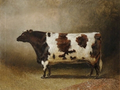 The Wimpole Heifer, 'Honeycomb' by Eliot Yorke