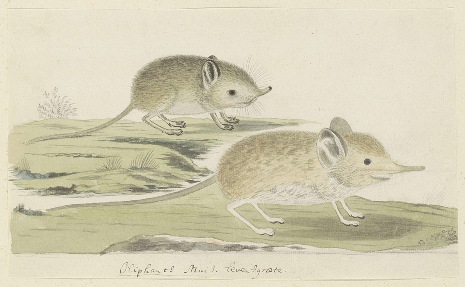 Exhibit image