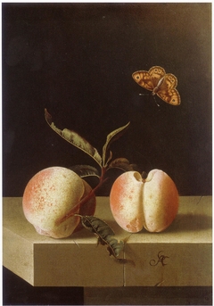 Two peaches and a fritillary butterfly on a stone plinth by Adriaen Coorte