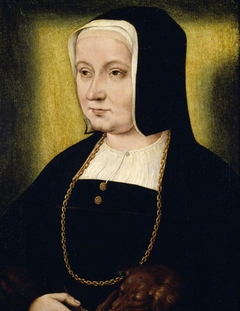 Unknown Woman with a Dog by after Quinten Metsys