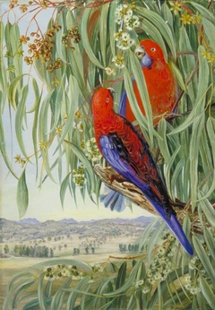 View from Collaroy, New South Wales, Looking towards the Liverpool Downs by Marianne North