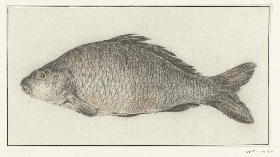 Exhibit image