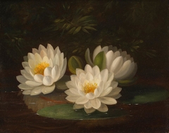 Water Lilies by Paul LaCroix