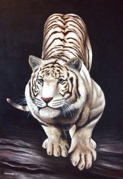 White Tiger by Petros S. Papapostolou