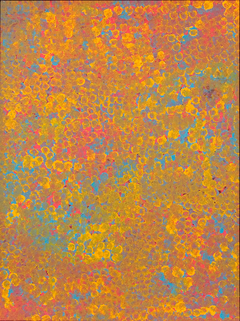 Wildflower by Emily Kame Kngwarreye