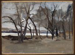 Winter landscape – park on the Petrovsky Island by Jan Ciągliński