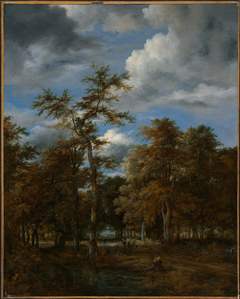 Woodland Vistas by Jacob van Ruisdael