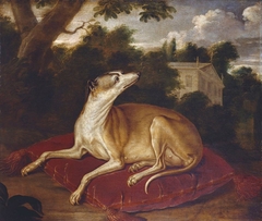 An Italian Greyhound by Anonymous