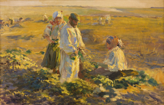 Beet-Lifting by Leon Wyczółkowski