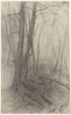 Bomen in een bos by Willem Maris