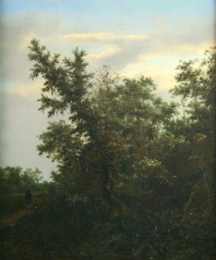 Bosgezicht by Jacob van Ruisdael