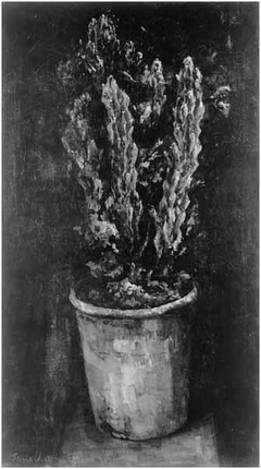 Cactus in pot by Floris Verster