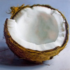 coconut by Justin Yanke