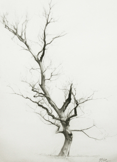 Dry tree by Miguel Angel Oyarbide