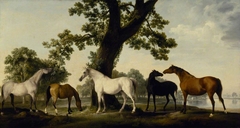 Five Brood Mares at the Duke of Cumberland's Stud Farm in Windsor Great Park by George Stubbs