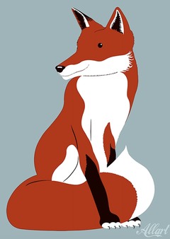 Fox by Jeroen Allart