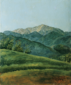 Gebirgslandschaft by Franz Xaver Gruber