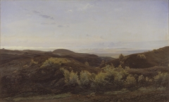 Heather Hills near Rye, Jutland by Harald Foss