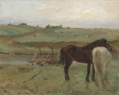 Horses in a Meadow by Edgar Degas