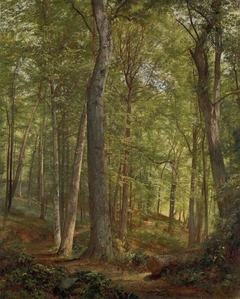 June Woods (Germantown) by William Trost Richards