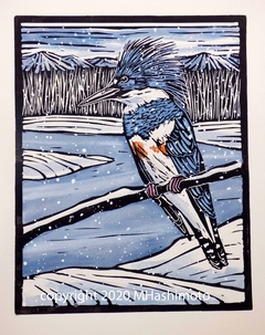 Kingfisher in the snow by Molly Hashimoto