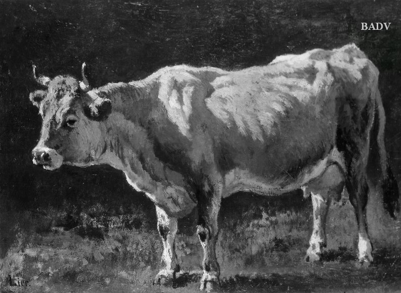 Exhibit image