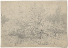 Landschap met een boom prominent in het midden by Egbert Rubertus Derk Schaap