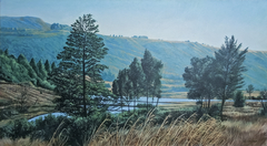 Morning at the dams by Clive Kirk