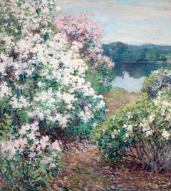 Mountain Laurel by Willard Metcalf