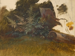 Mountain Vegetation by Friedrich Carl von Scheidlin