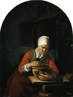 Old Woman with a Flower Pot by Frans van Mieris the Elder