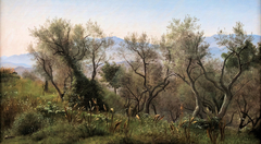 Olive Trees near Olevano by P C Skovgaard