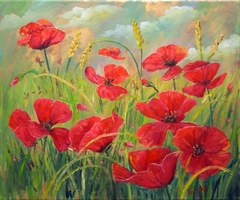 Poppies by Χρήστος Τυρεκίδης