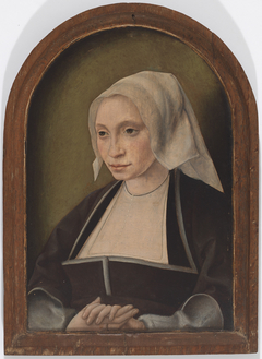 Portrait of a Woman by Jan Joest