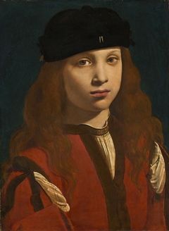 Portrait of a Youth by Giovanni Antonio Boltraffio