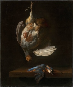 Still Life with Dead Partridge and Kingfisher by Simon Pietersz Verelst