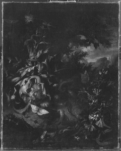 Stillleben-Vanitas by Johann Rudolf Byss