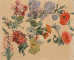 Studies of Summer Flower by Jacques-Laurent Agasse