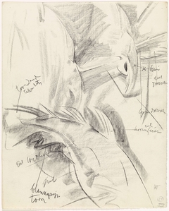 Studies van een vis, met kleurnotities by Gerrit Willem Dijsselhof