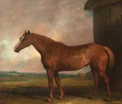 The Favourite Horse of Lord Charles Vere Ferrers Townshend (1785-1853) by Unknown Artist