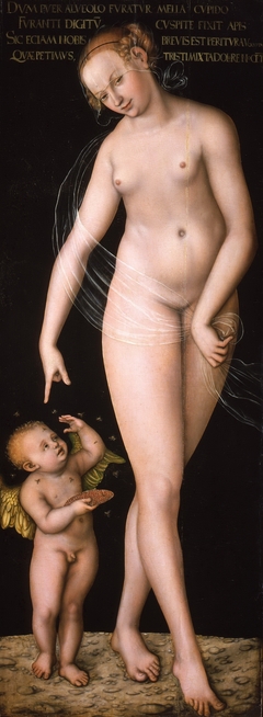 Venus with Cupid stealing honey by Lucas Cranach the Elder