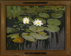 Water lilies by Teodor Ziomek