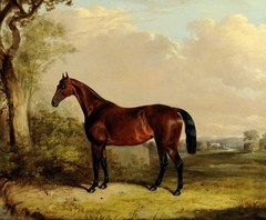 A Bay Hunter in a Landscape by Thomas Walker Bretland