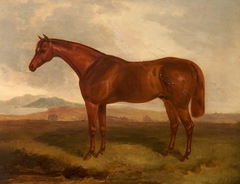 A Chestnut Hunter in a Field by John Ferneley