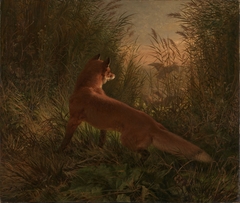 A Fox by Johann Siegwald Dahl